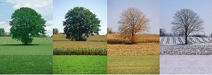 《无人深空》新更新添加对PSVR2的支持 新飞船新玩法